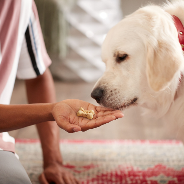 slide 6 of 19, Milk-Bone Dog Treat, 12 oz