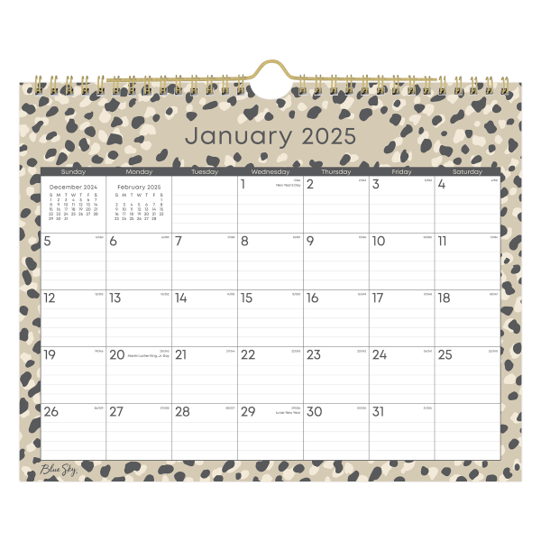 slide 1 of 2, 2025 Blue Sky Monthly Wall Calendar, 11"" X 8-3/4"", Devon, January To December, 148896, 1 ct