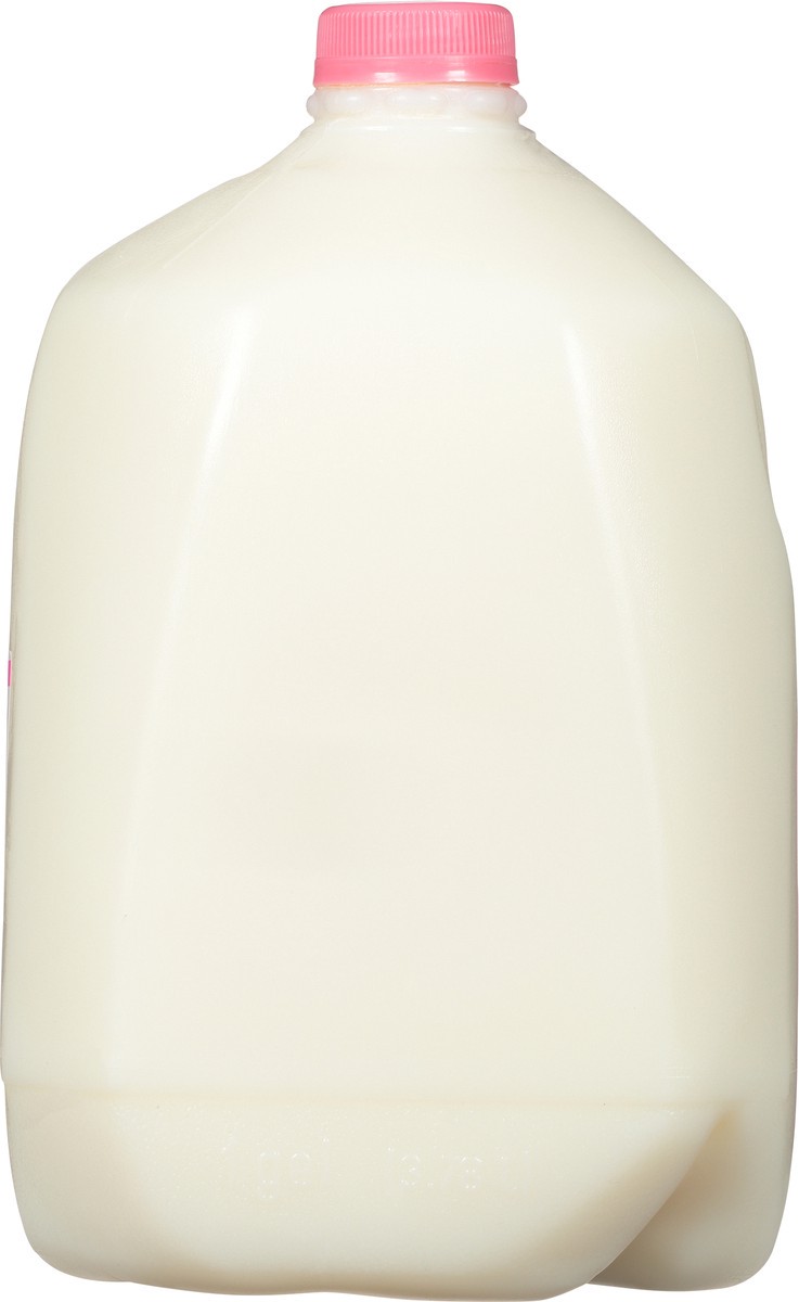 slide 2 of 9, Prairie Farms Fat Free Milk 1 gl Jug, 1 gal