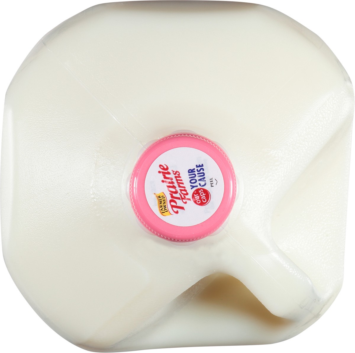 slide 6 of 9, Prairie Farms Fat Free Milk 1 gl Jug, 1 gal