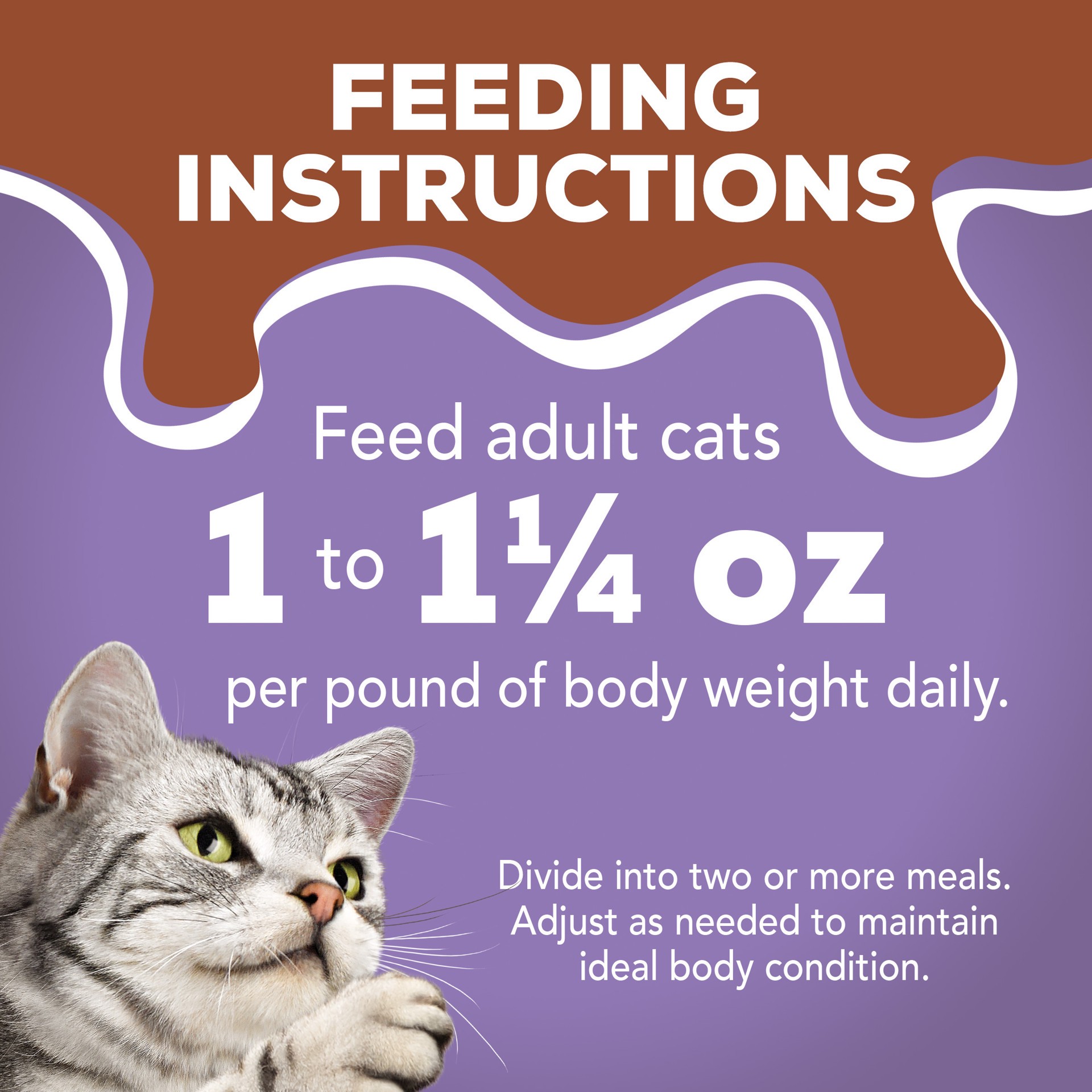 slide 2 of 7, Purina Friskies Gravy Wet Cat Food, Extra Gravy Chunky With Turkey in Savory Gravy, 5.5 oz