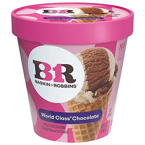 slide 1 of 1, Baskin Robbins Ice Cream World Class Chocolate - 14 Oz, 14 oz