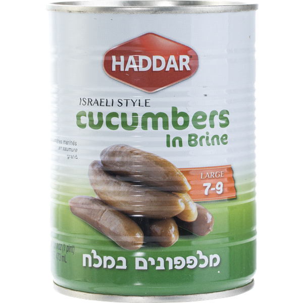 slide 1 of 1, Haddar Cucumbers In Brine, 19 oz
