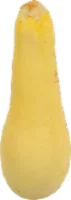 Organic Yellow Squash