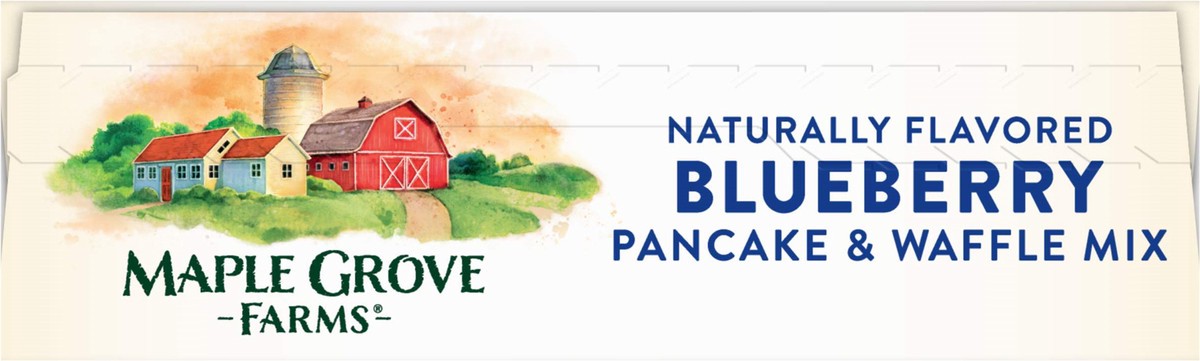 slide 5 of 14, Maple Grove Farms Blueberry Pancake & Waffle Mix 24 oz, 24 oz