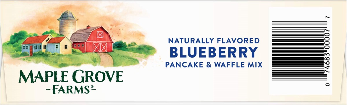 slide 8 of 14, Maple Grove Farms Blueberry Pancake & Waffle Mix 24 oz, 24 oz