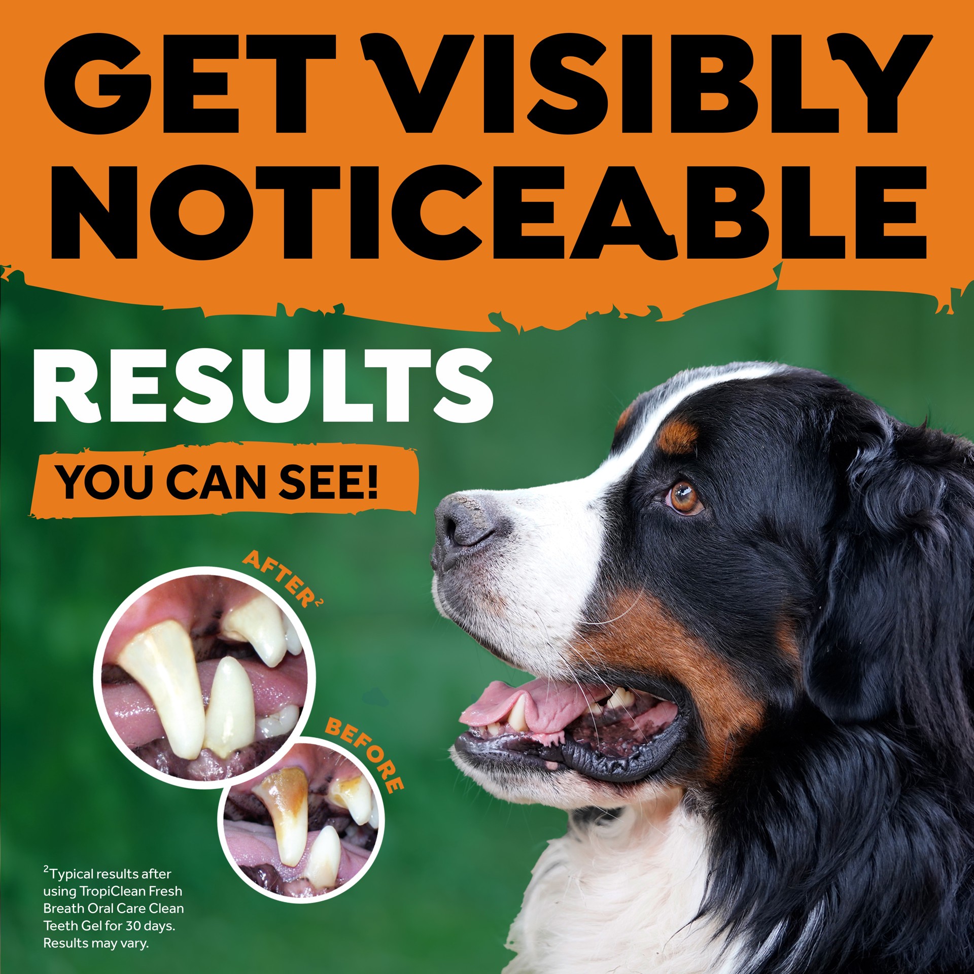 slide 7 of 10, TropiClean Sunsetting - TropiClean Fresh Breath Tartar Control + Fresh Breath Kit for Large Dogs (2 oz Gel & Water Additive Concentrate), 1 ct