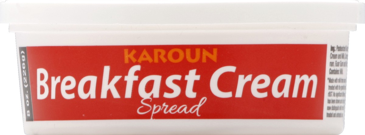slide 1 of 3, Karoun Breakfast Cream Spread 8 oz, 8 oz