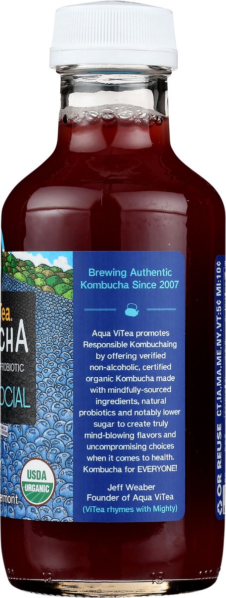 slide 3 of 9, Aqua ViTea Blueberry Social 16oz Bottle, 16 fl oz