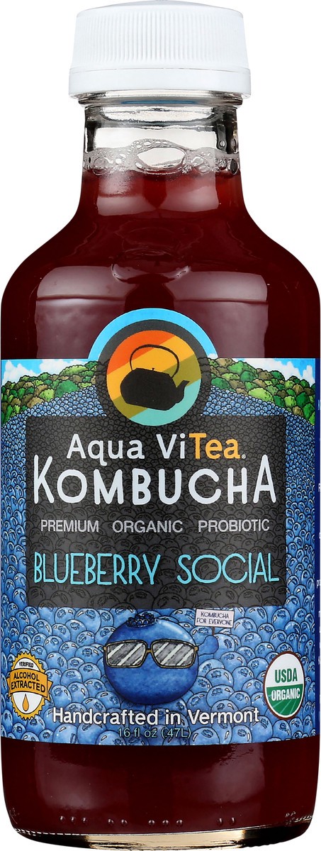 slide 8 of 9, Aqua ViTea Blueberry Social 16oz Bottle, 16 fl oz