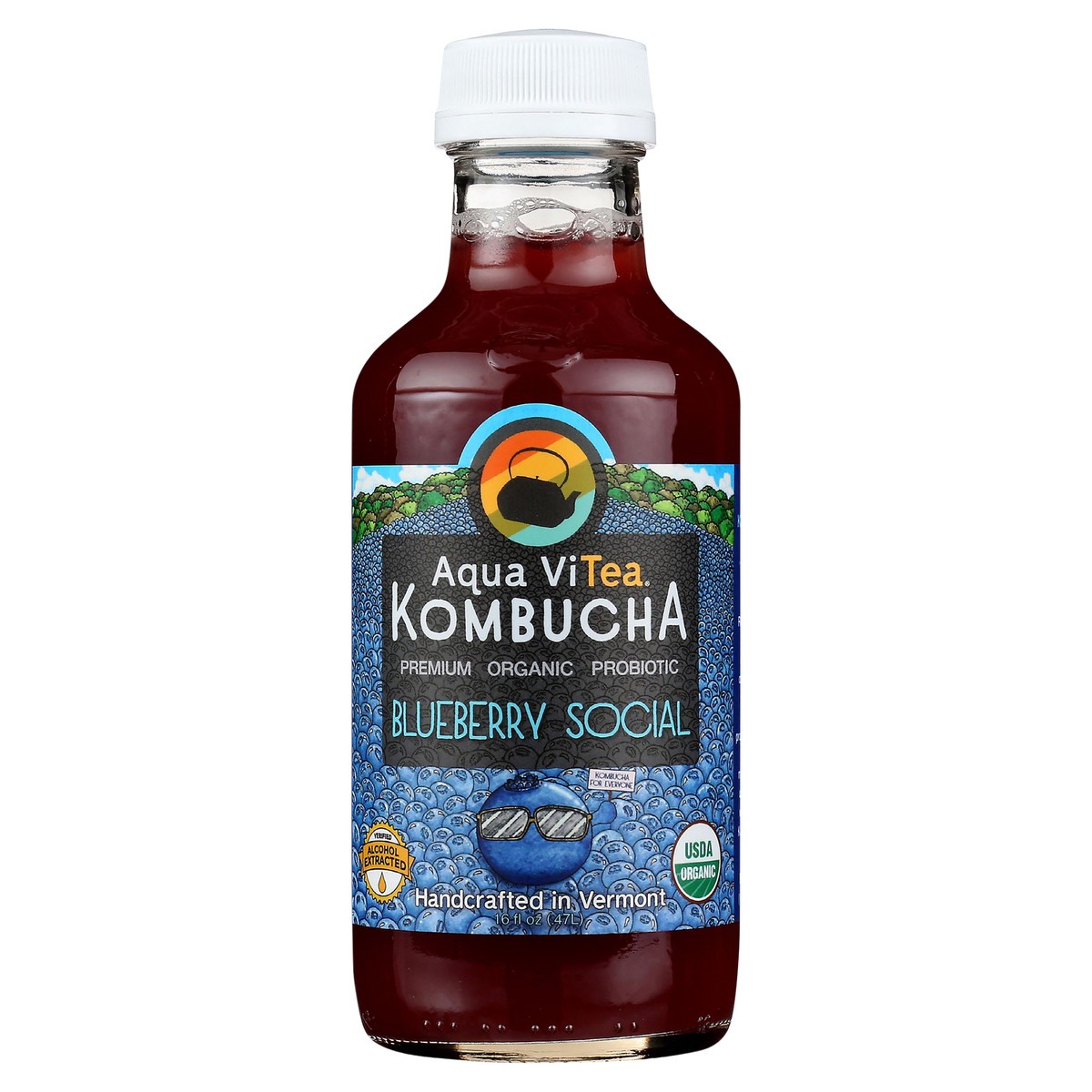 slide 6 of 9, Aqua ViTea Blueberry Social 16oz Bottle, 16 fl oz