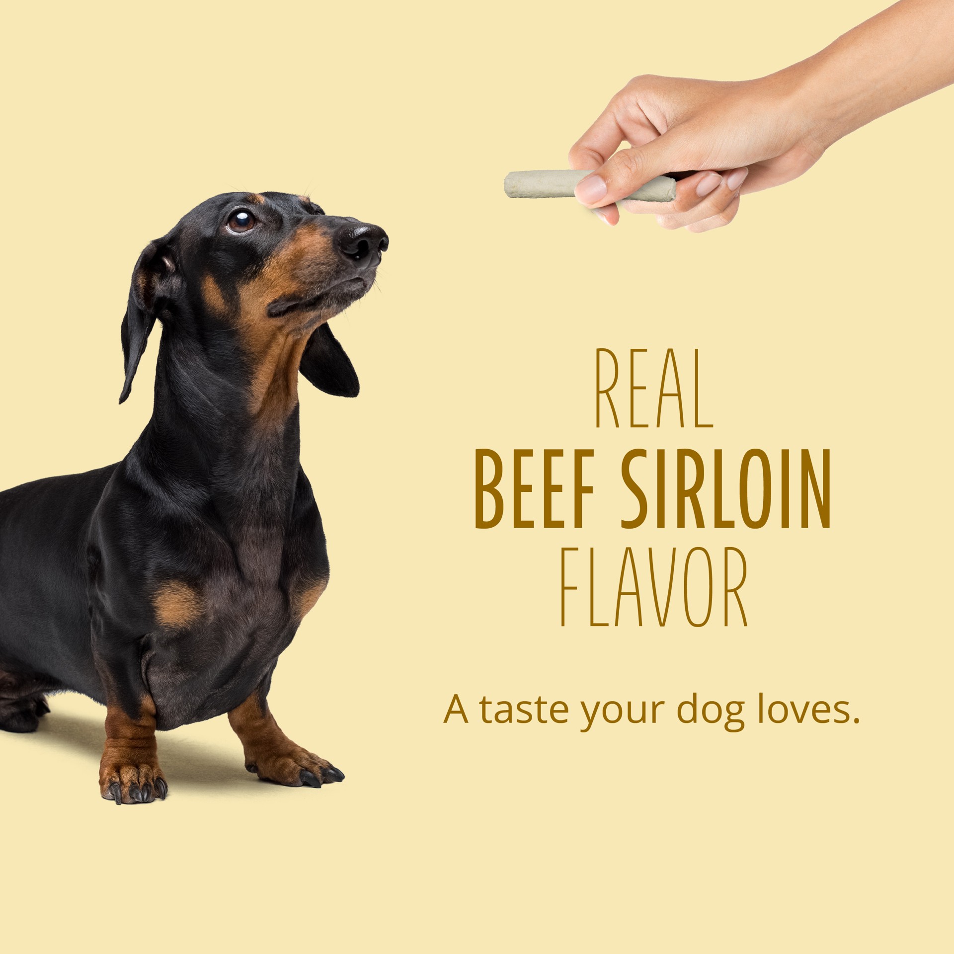 slide 8 of 10, Better Belly Proteins Real Beef Sirloin Dog Chew, 3.1 oz