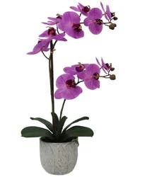 Mikasa Orchid Plastic Artificial Greenery Dark Pink 22IN