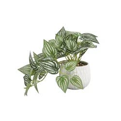 Elements Pothos Plastic Artificial Greenery Strip 9 in