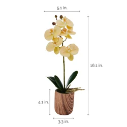 Mikasa Orchid Plastic Artificial Greenery - Ivory - 16 in