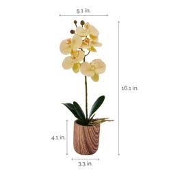 Mikasa Orchid Plastic Artificial Greenery - Ivory - 16 in