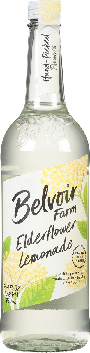 slide 3 of 9, Belvoir Farm Elderflower Lemonade Sparkling Soft Drink - 25.4 fl oz, 25.4 fl oz