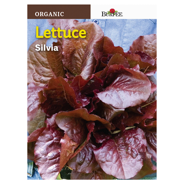 slide 1 of 1, Burpee Organic Lettuce Silvia Seeds, 1 ct