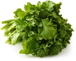Organic Rapini