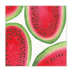 Caspari Watermelon Cocktail Napkins