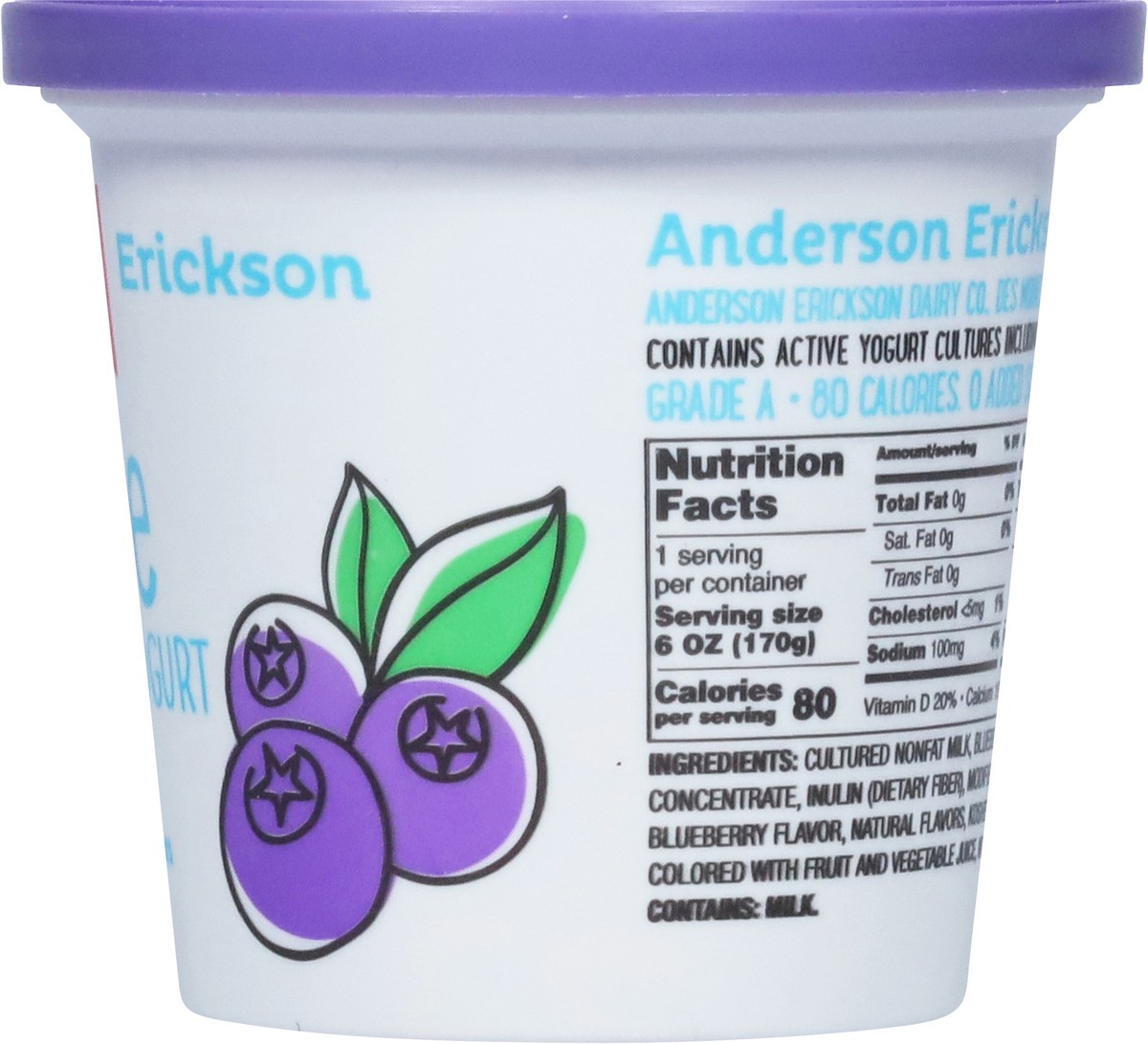 slide 8 of 9, Anderson Erickson Dairy YoLite Fat Free Blueberry Yogurt 6 oz, 6 oz