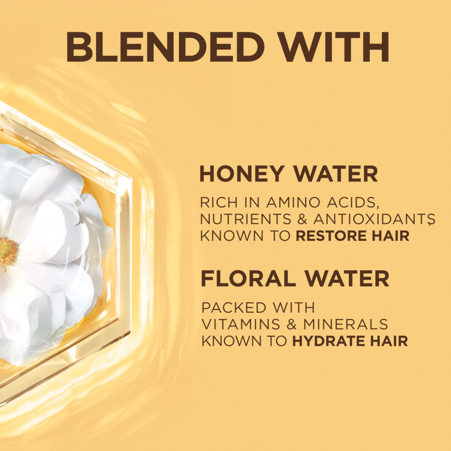 slide 7 of 7, Garnier GAR WB HONEY WATER MOIST CONDITIONER 26.6, 26.6 oz