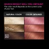 slide 13 of 25, Garnier Olia Bold Permanent Hair Color - Dark Rose Quartz, 1 ct