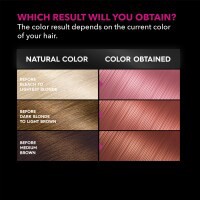 slide 2 of 25, Garnier Olia Bold Permanent Hair Color - Dark Rose Quartz, 1 ct