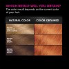 slide 20 of 25, Garnier Olia Oil Powered Permanent Hair Color, 1 ct