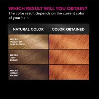slide 2 of 25, Garnier Olia Oil Powered Permanent Hair Color, 1 ct