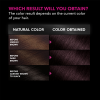 slide 9 of 25, Garnier Olia Oil Powered Permanent Hair Color Bold Collection 2.26 - Black Amethyst - 1 kit, 1 ct