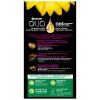 slide 20 of 25, Garnier Olia Oil Powered Permanent Hair Color Bold Collection 2.26 - Black Amethyst - 1 kit, 1 ct