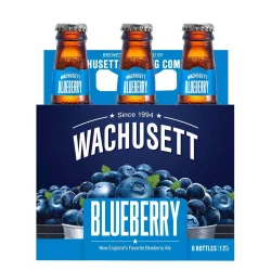 Wachusett Blueberry Ale Beer - 6pk/12 fl oz Bottles