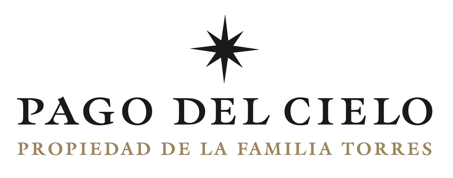 slide 3 of 5, Torres Pago Del Cielo Rdd, 750 ml