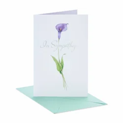 American Greetings In Sympathy Greeting Card 1 ea
