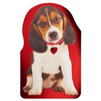 slide 14 of 17, American Greetings Valentine's Day Card (Puppy), 1 ct