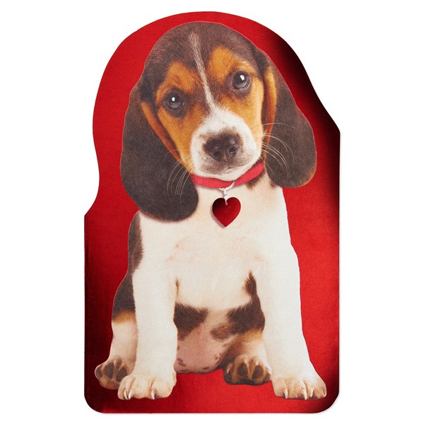 slide 2 of 17, American Greetings Valentine's Day Card (Puppy), 1 ct