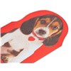 slide 12 of 17, American Greetings Valentine's Day Card (Puppy), 1 ct