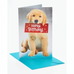 American Greetings Happy Birthday Greeting Card 1 ea