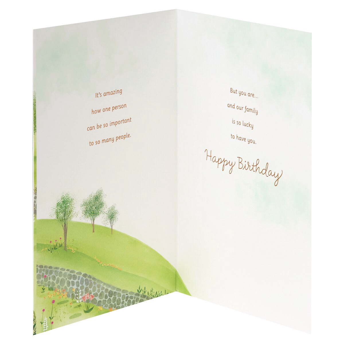 slide 20 of 21, American Greetings Birthday Card for Grandma (So Important), 1 ct