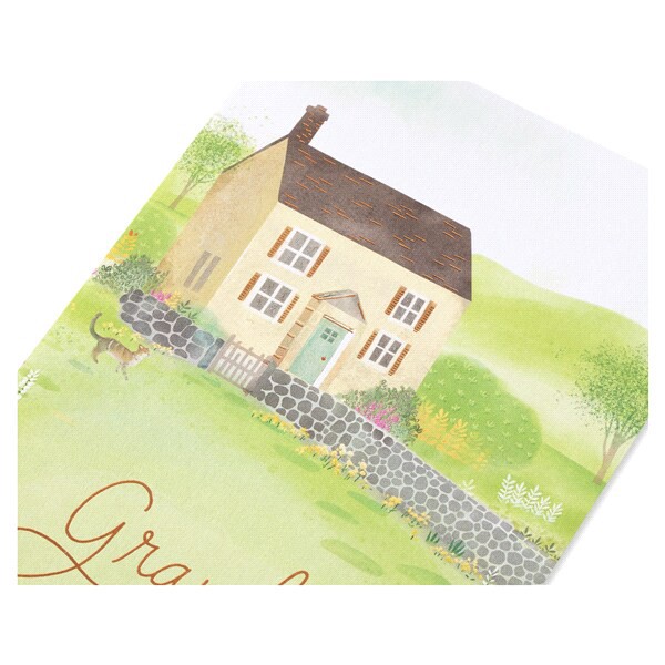 slide 17 of 21, American Greetings Birthday Card for Grandma (So Important), 1 ct