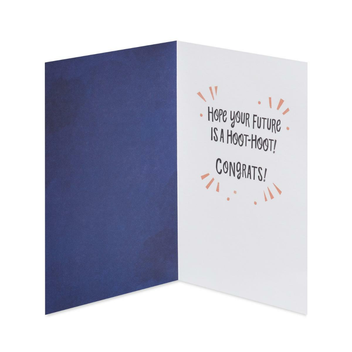 slide 3 of 7, American Greetings Graduation 6ct. Card Bundle, (Owl Congrats), 6 ct