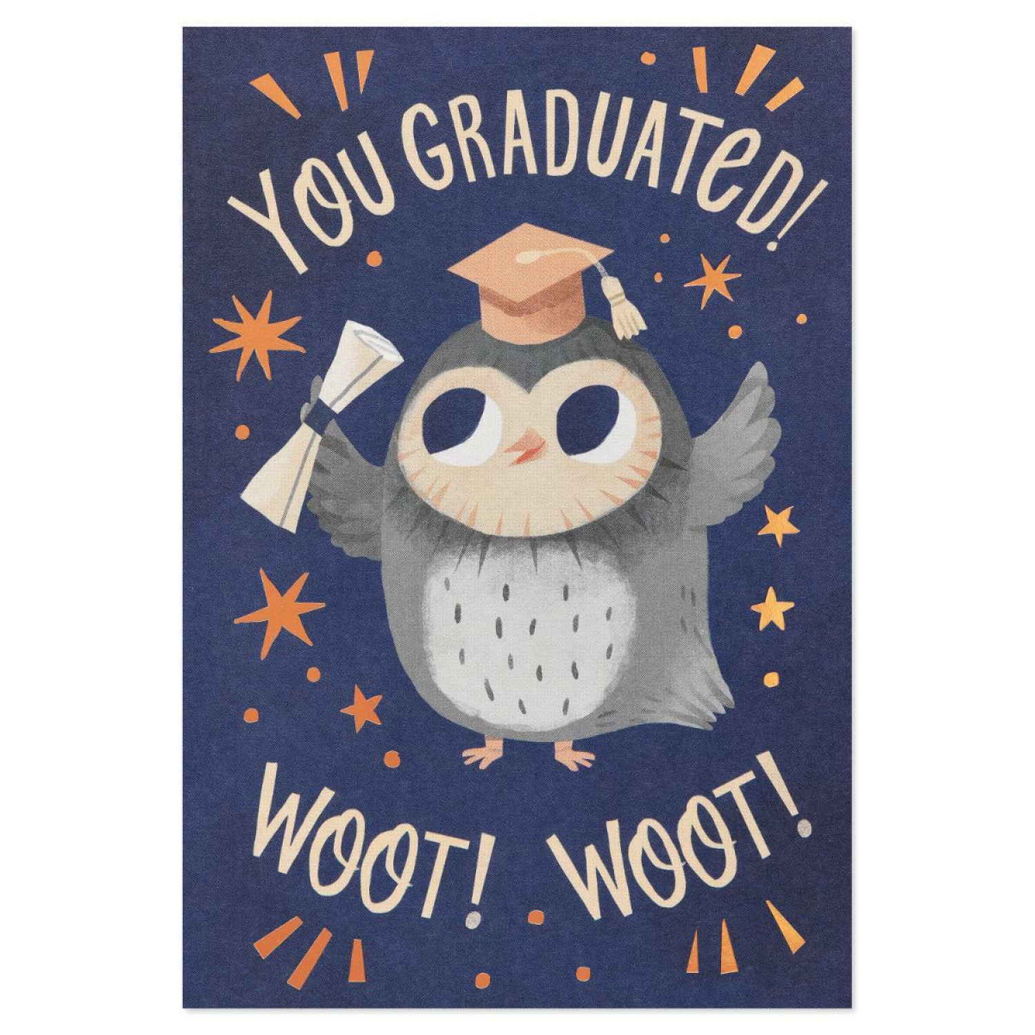 slide 7 of 7, American Greetings Graduation 6ct. Card Bundle, (Owl Congrats), 6 ct