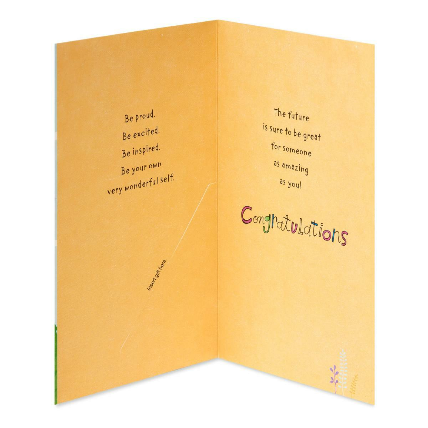 slide 2 of 4, American Greetings Graduation Gift Card Holder (You Did It), 1 ct