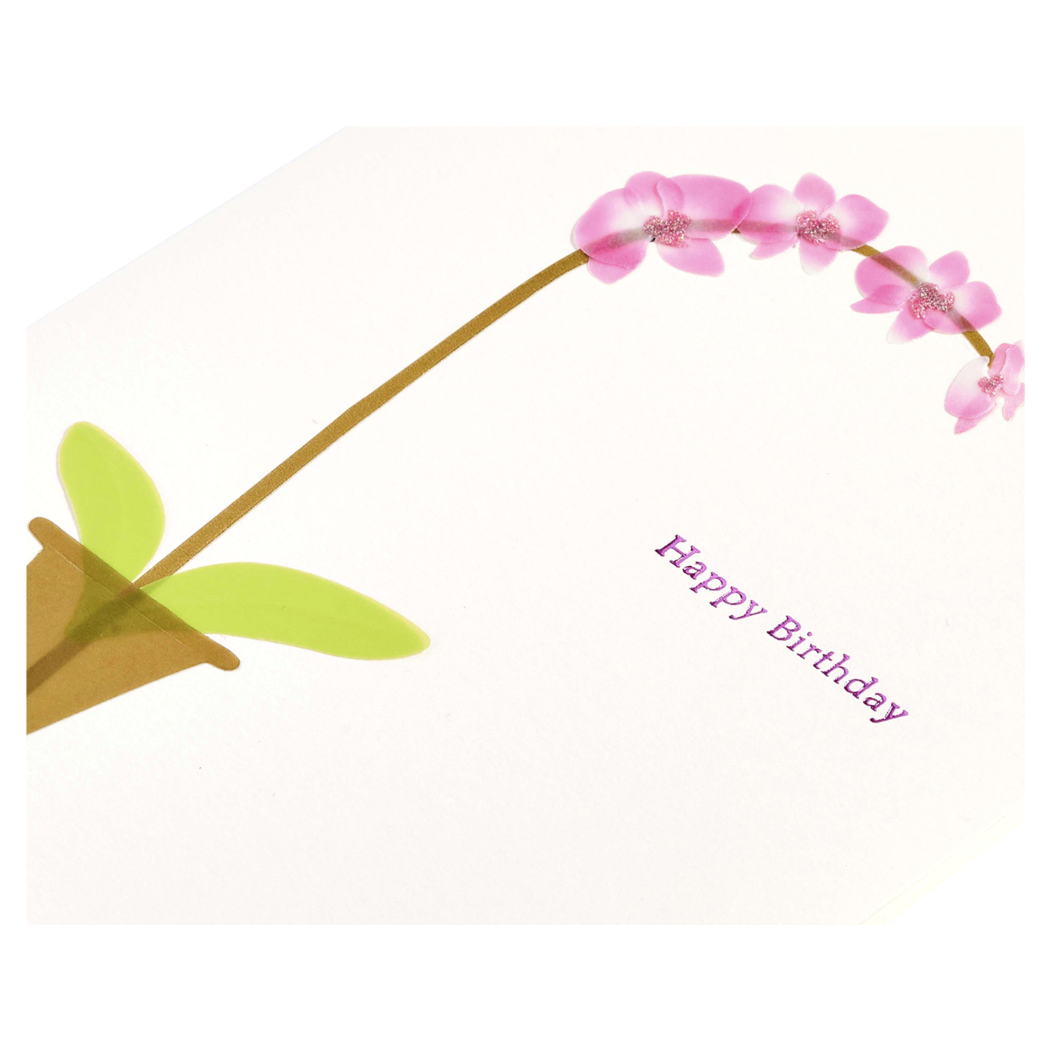 slide 3 of 4, Papyrus Birthday Card (Pink Orchid), 1 ct