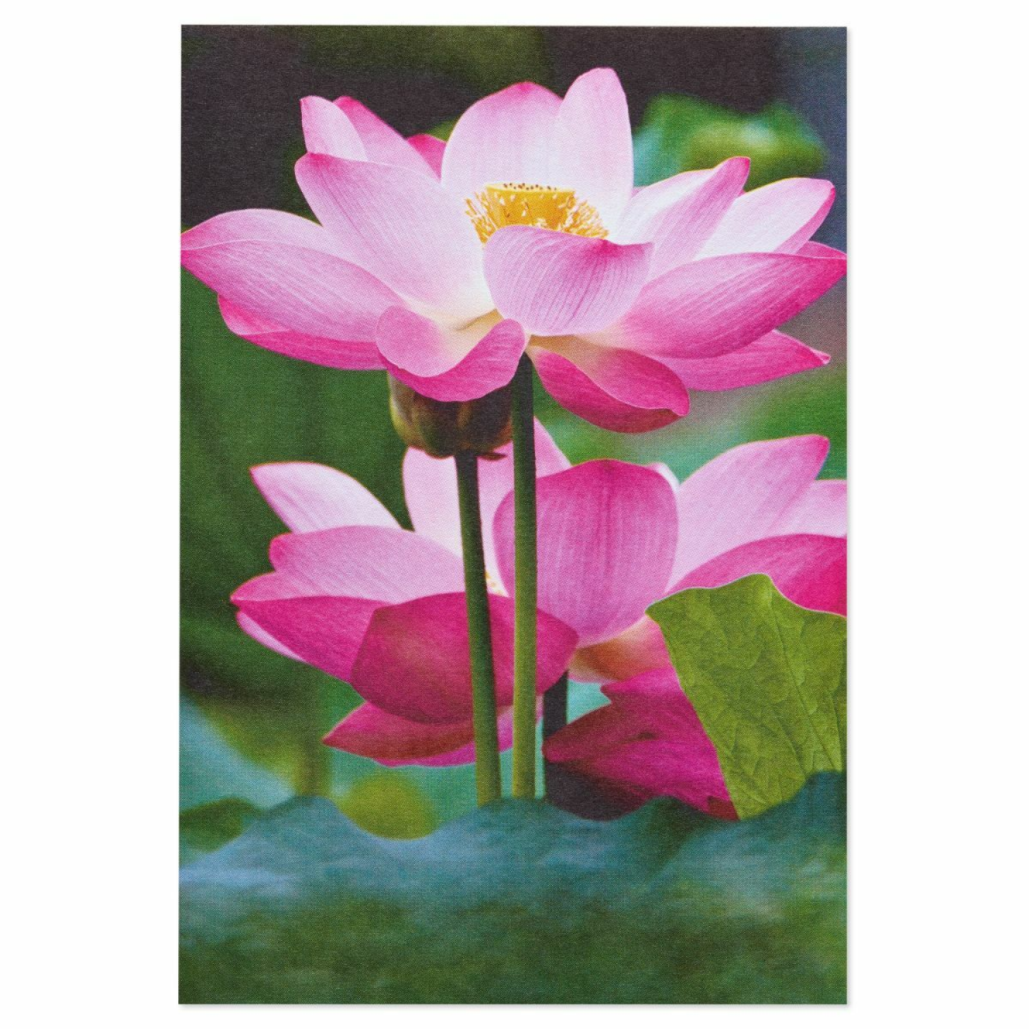 slide 4 of 5, American Greetings Greeting Card 1 ea, 1 ct