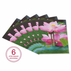 American Greetings Greeting Card 1 ea