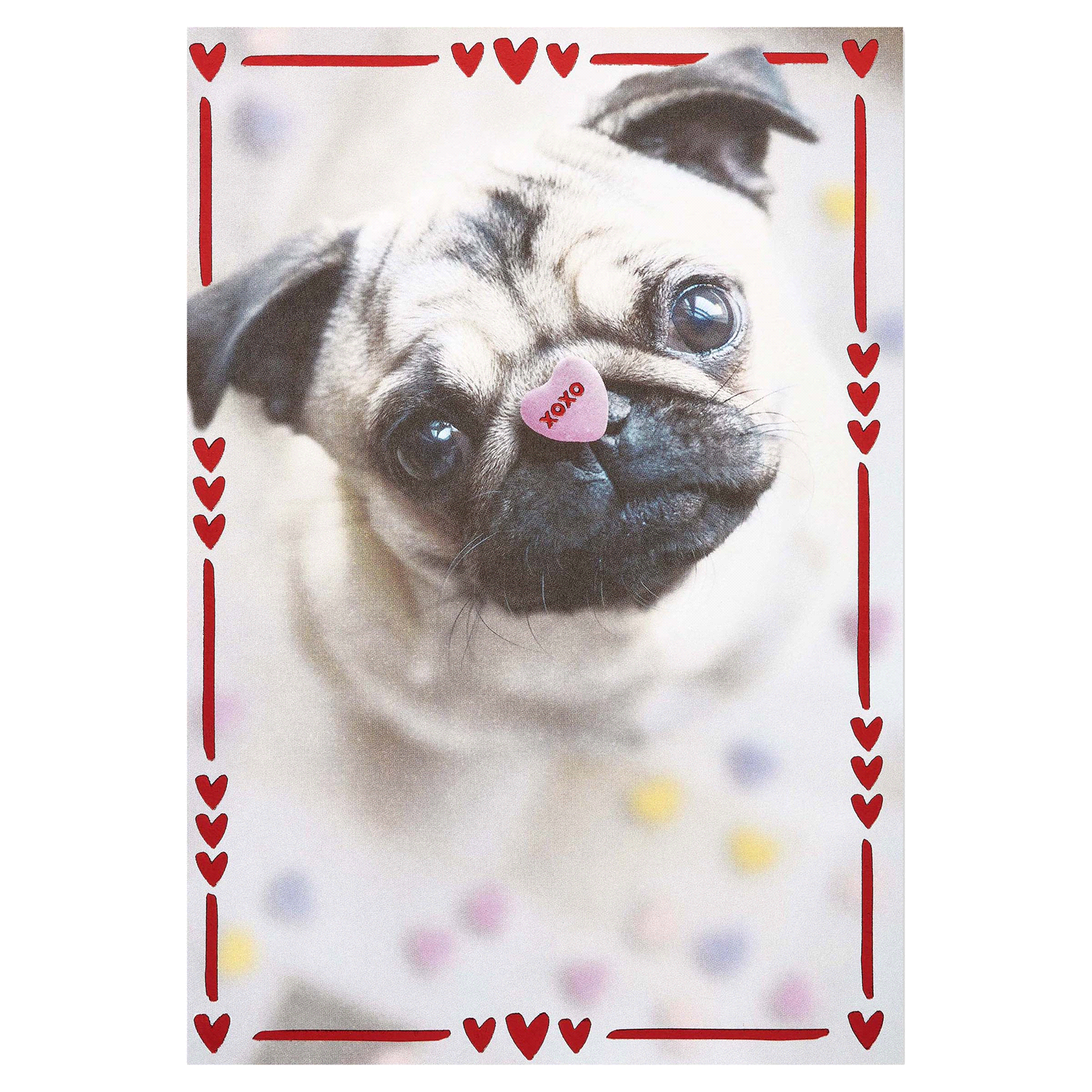 slide 3 of 4, American Greetings Valentine's Day Card (Pug With Candy Heart), 1 ct