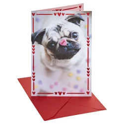 American Greetings Valentine's Day Card (Pug With Candy Heart)