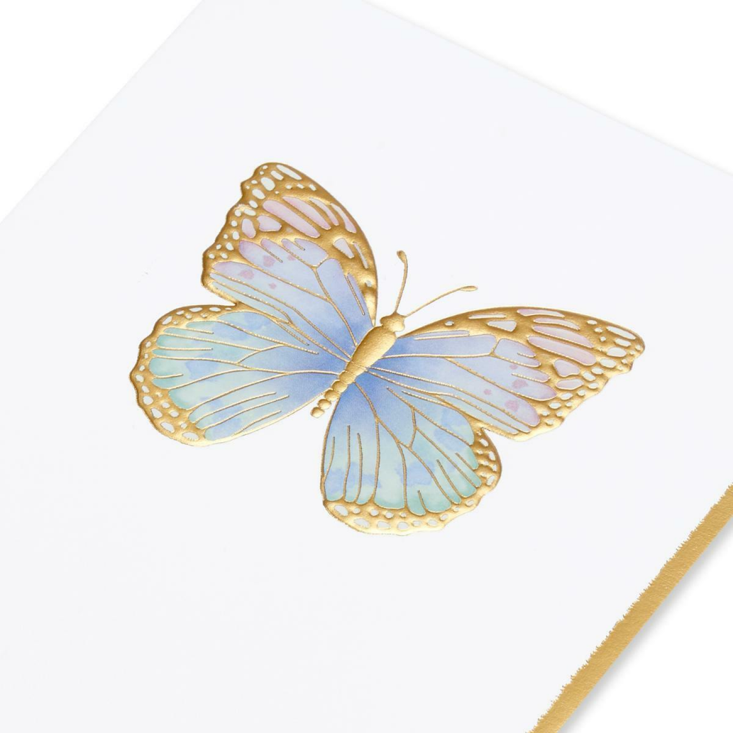 slide 5 of 5, American Greetings Greeting Card 1 ea, 1 ct